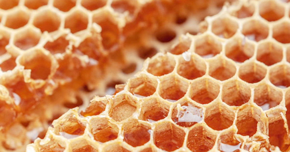 ミツバチの巣のイメージ